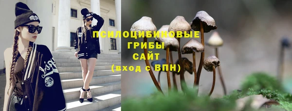соль курить ск Богданович