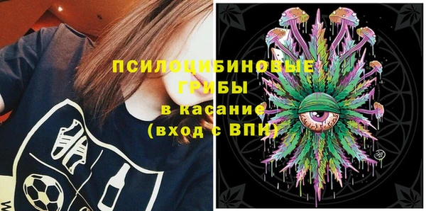 Альфа ПВП Богородицк