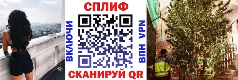 Каннабис SATIVA & INDICA  Касимов 